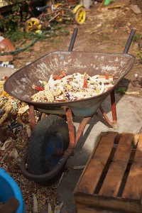 Wheel barrel