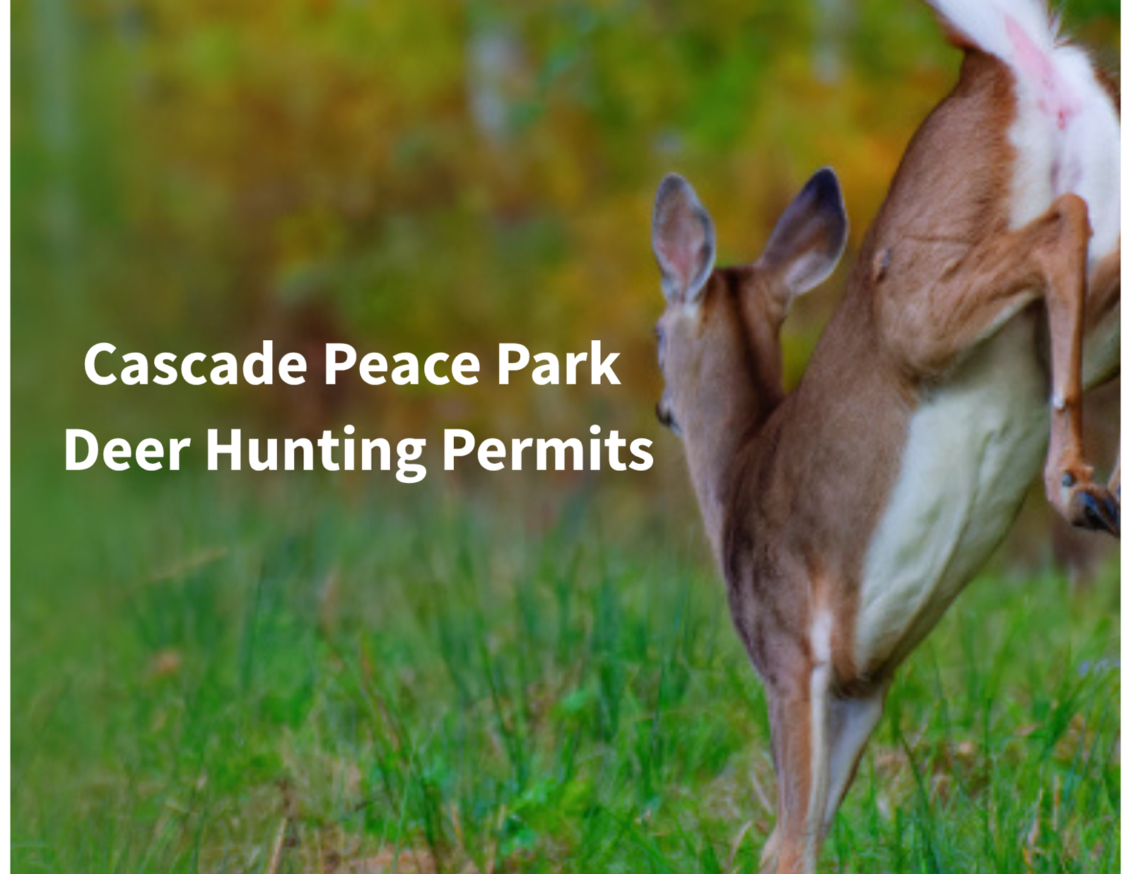 Deer Hunting Permits